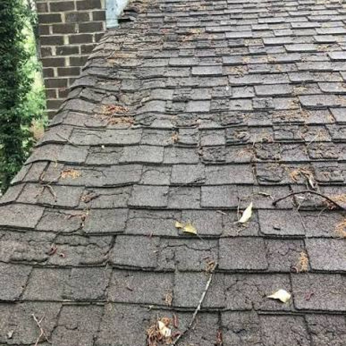 Severely aged and deteriorated asphalt roof shingles